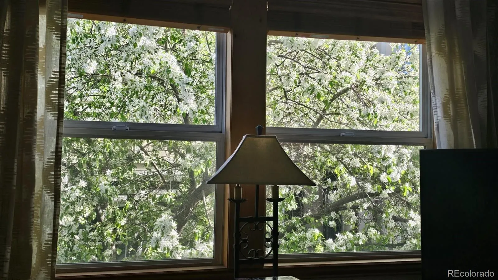 04172026162340 1600 8