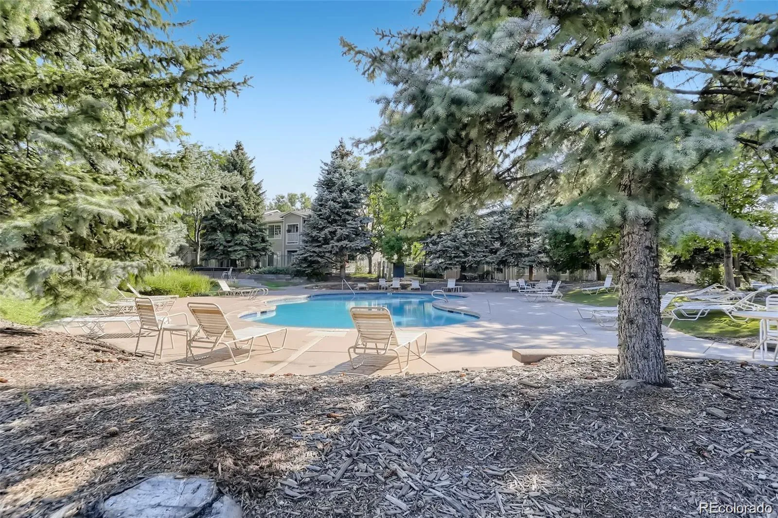 8365 Pebble Creek Way #201 Highlands Ranch CO 80126 | MLS #REC7663200 08262026021715 1600 20