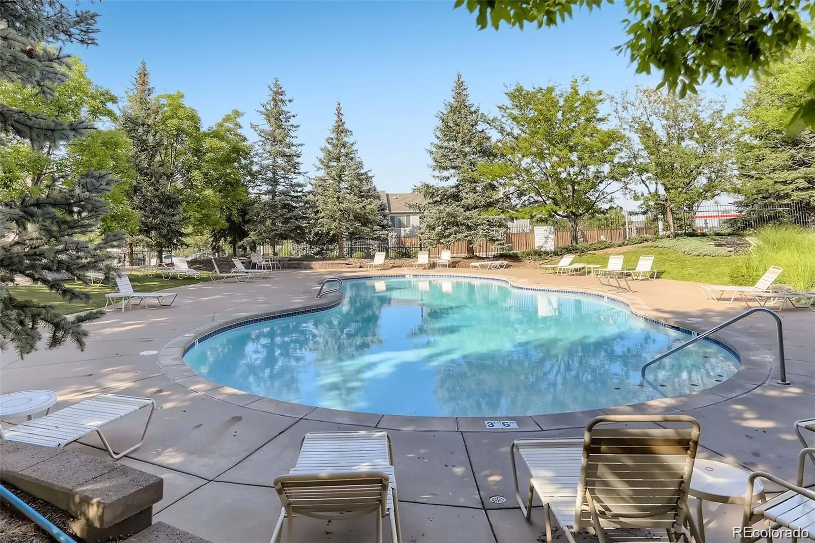 8365 Pebble Creek Way #201 Highlands Ranch CO 80126 | MLS #REC7663200 08262026021715 1600 21