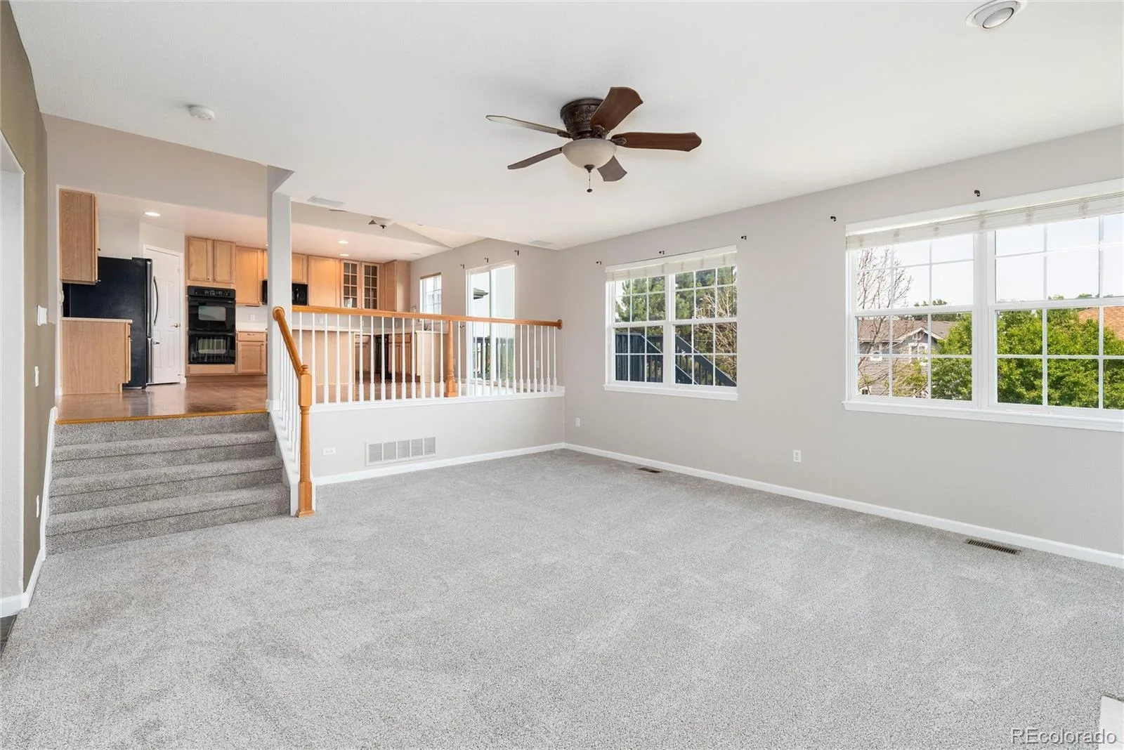 4341 Millwagon Trail Castle Rock CO 80109 | MLS #REC7666626 07092026192753 1600 16