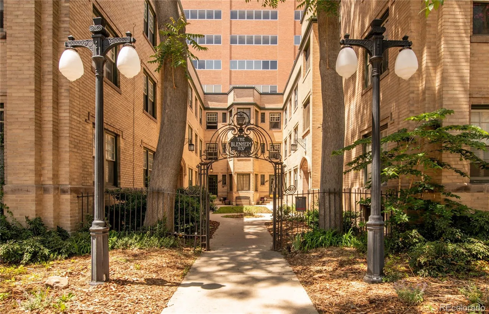1137 N Sherman Street #14 Denver CO 80203 MLS #REC7668615 05292026153737 1600 18