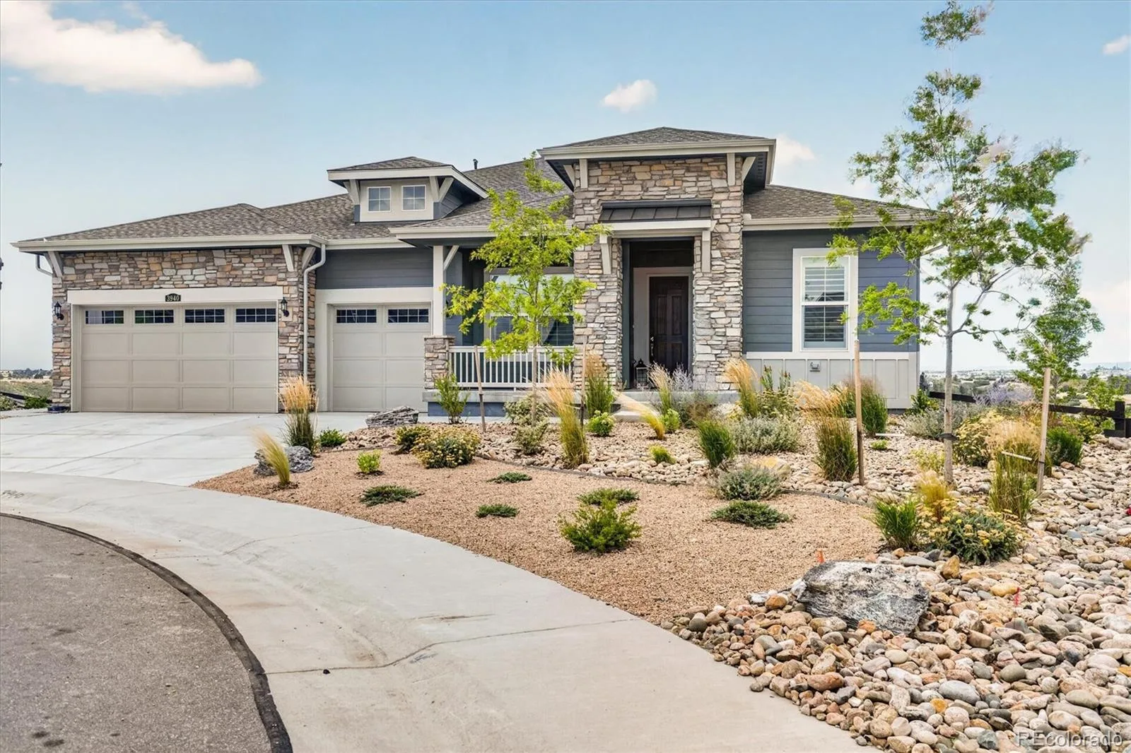3940 Treadway Point Castle Rock CO 80108 MLS #REC7672748 07302026204229 1600 40
