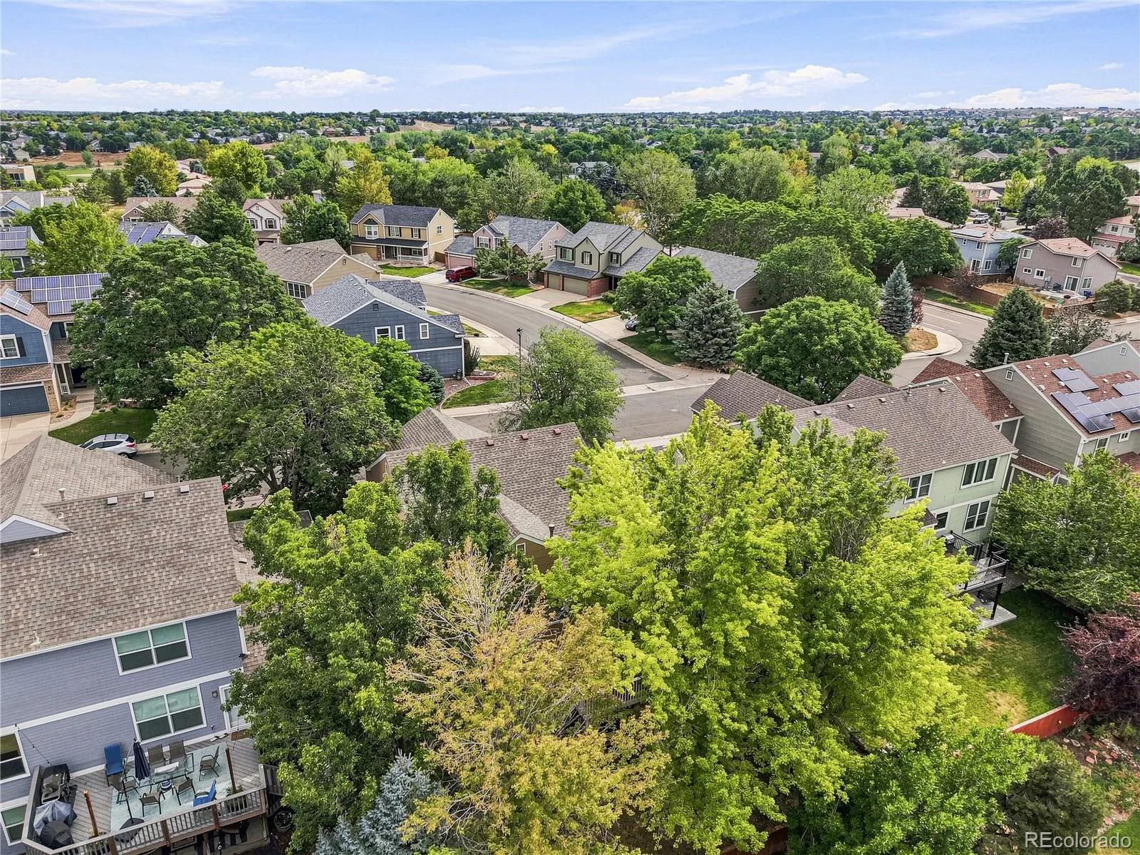 1658 Spring Water Place Littleton CO 80129 | MLS #REC7674883 07302026215002 1600 36