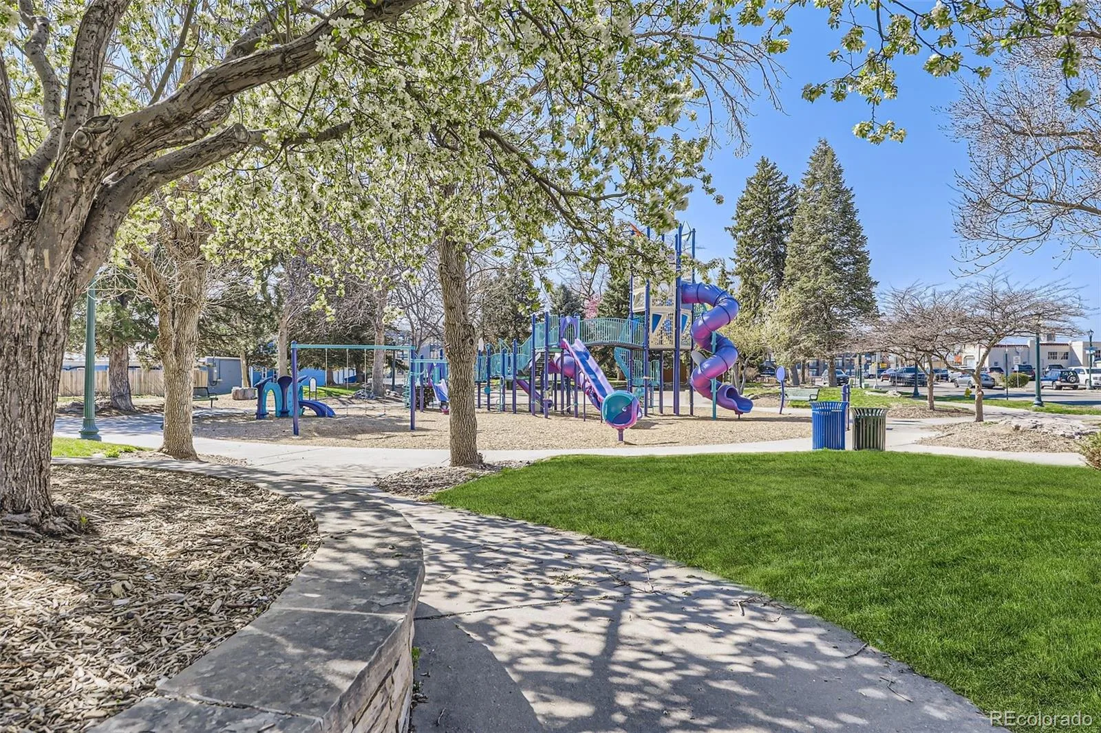 6180 Dover Street Arvada CO 80004 MLS #REC7678878 06082026204259 1600 33