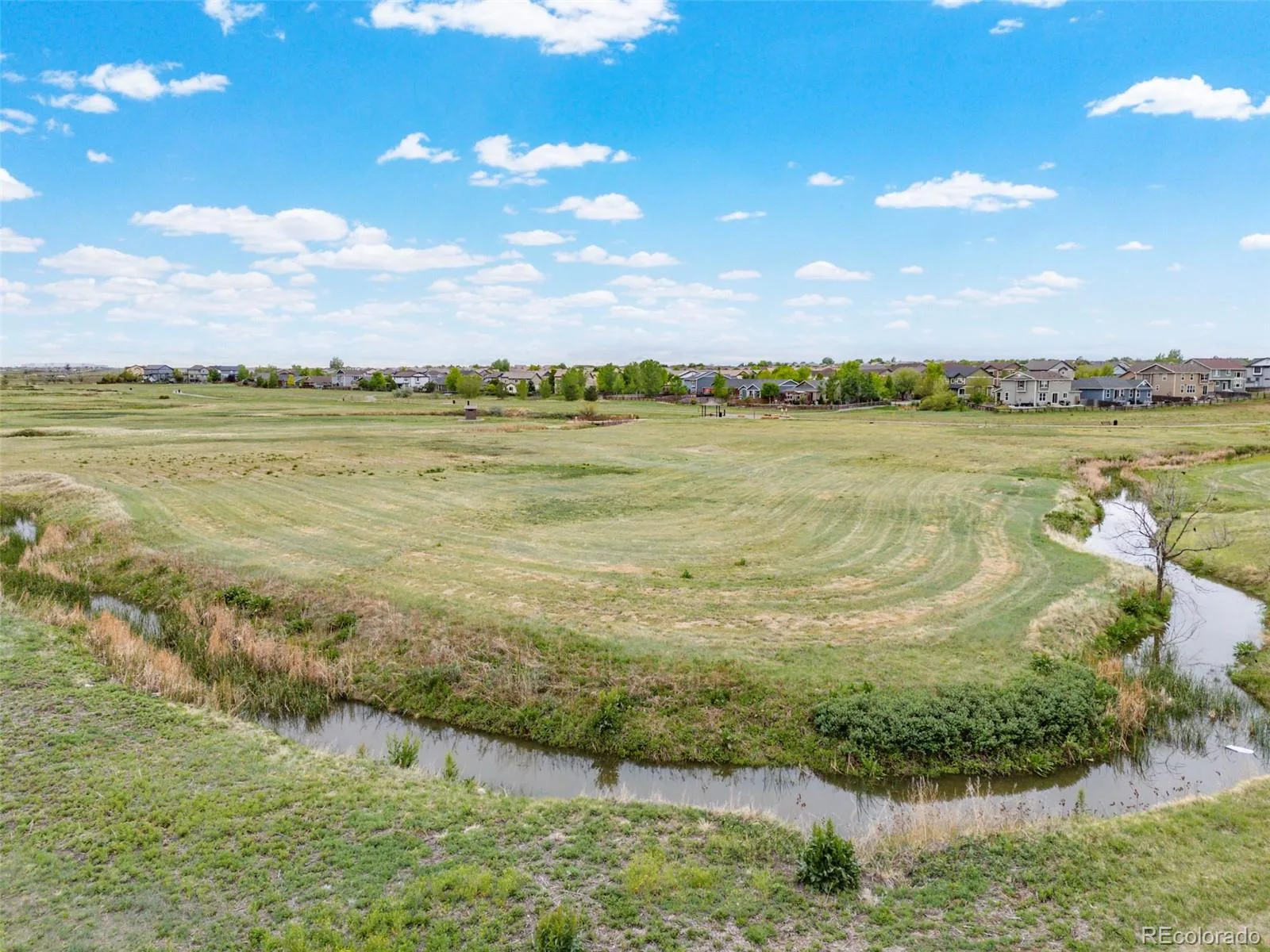 10268 Norfolk Street Commerce City CO 80022 | MLS #REC7679432 08292026183405 1600 31