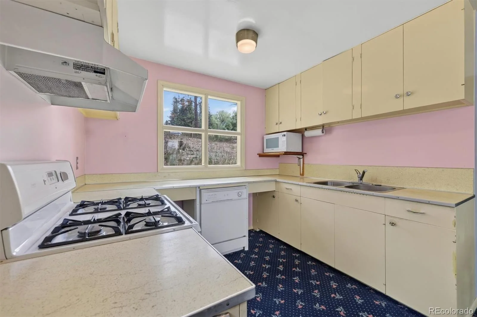 25049 US Highway 40 Golden CO 80401 | MLS #REC7684281 08182026125803 1600 16