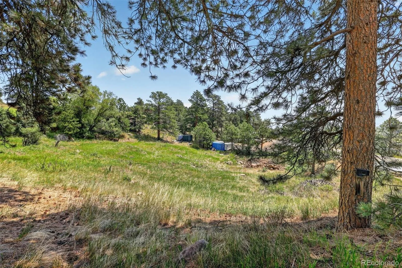 25049 US Highway 40 Golden CO 80401 | MLS #REC7684281 08182026125803 1600 32