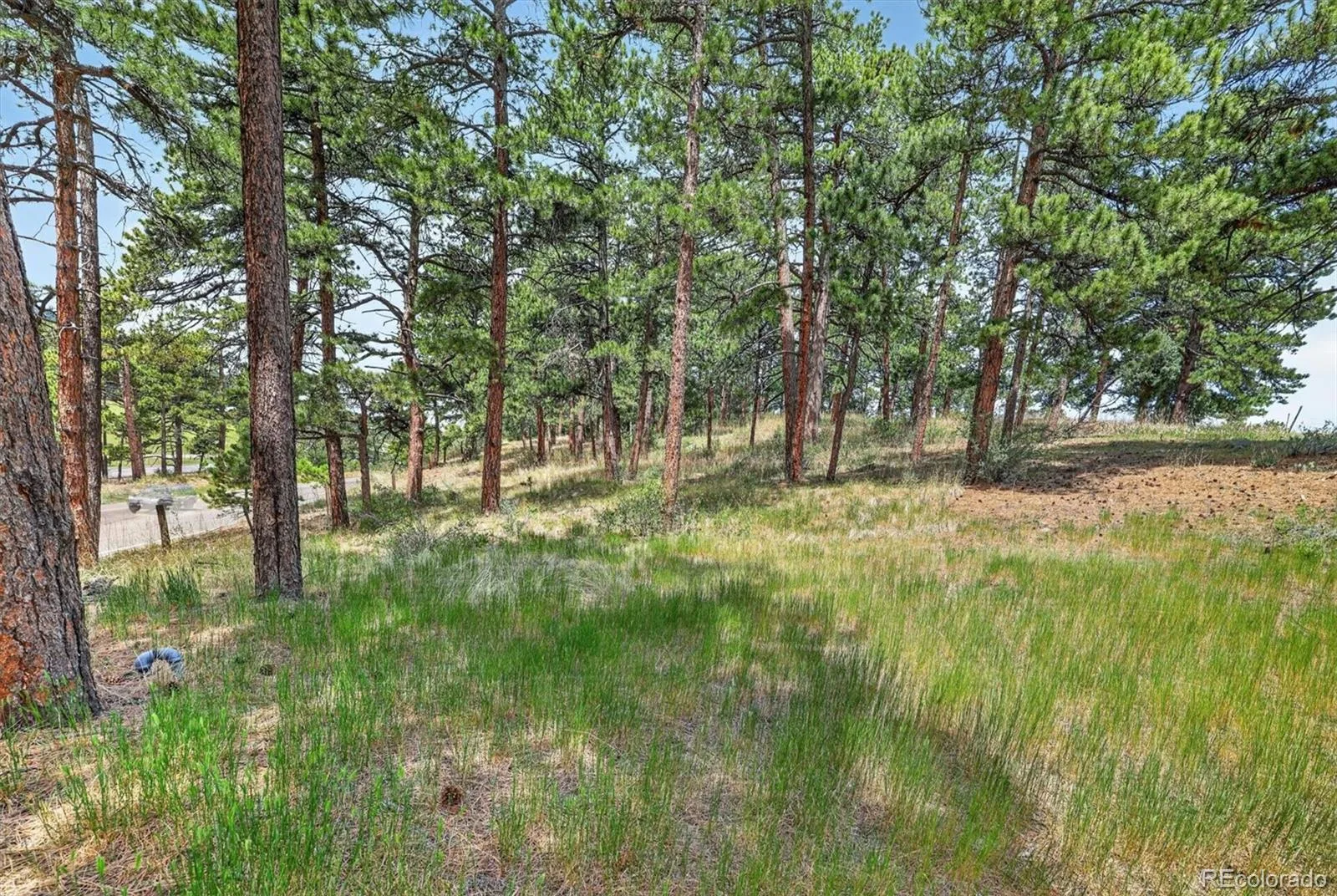 25049 US Highway 40 Golden CO 80401 | MLS #REC7684281 08182026125803 1600 5