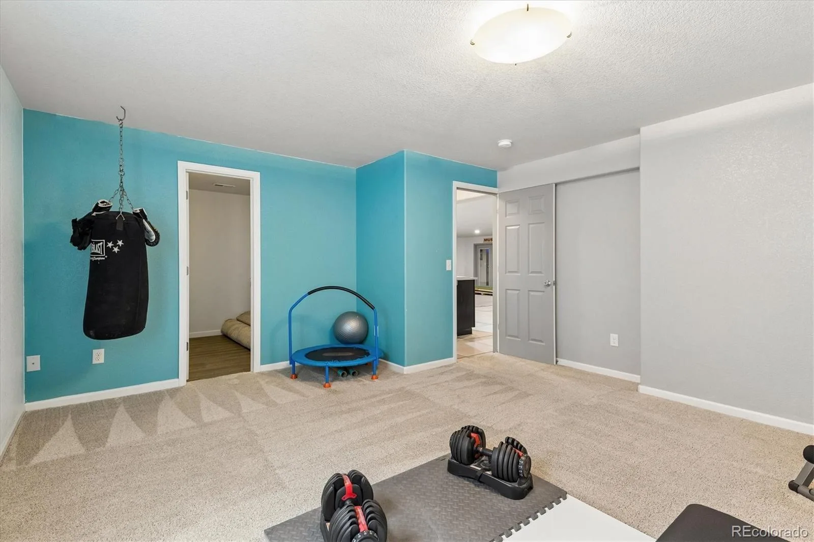 10981 E 166th Avenue Brighton CO 80602 | MLS #REC7691970 05292026200547 1600 26