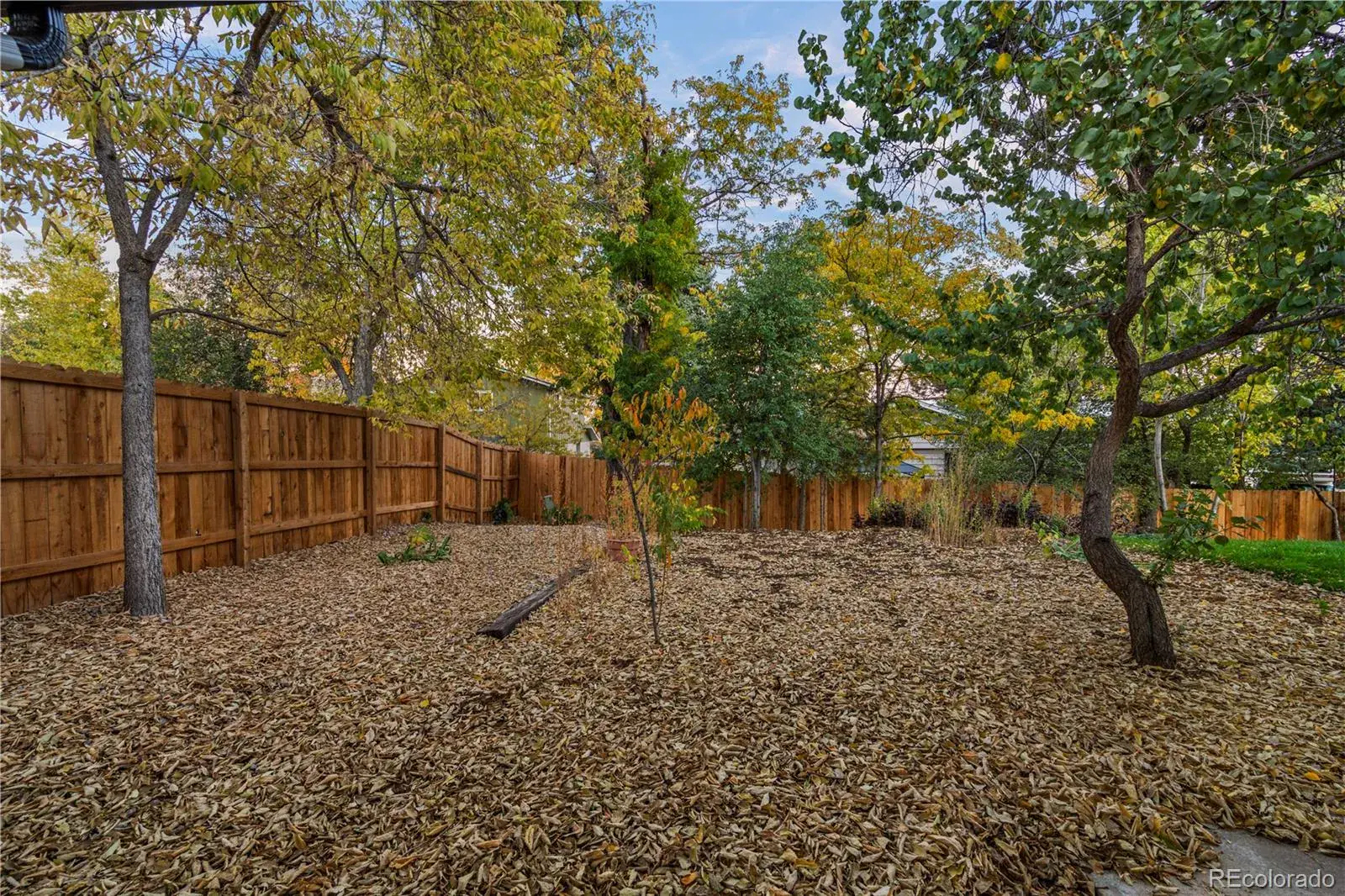 02172026184108 1600 39