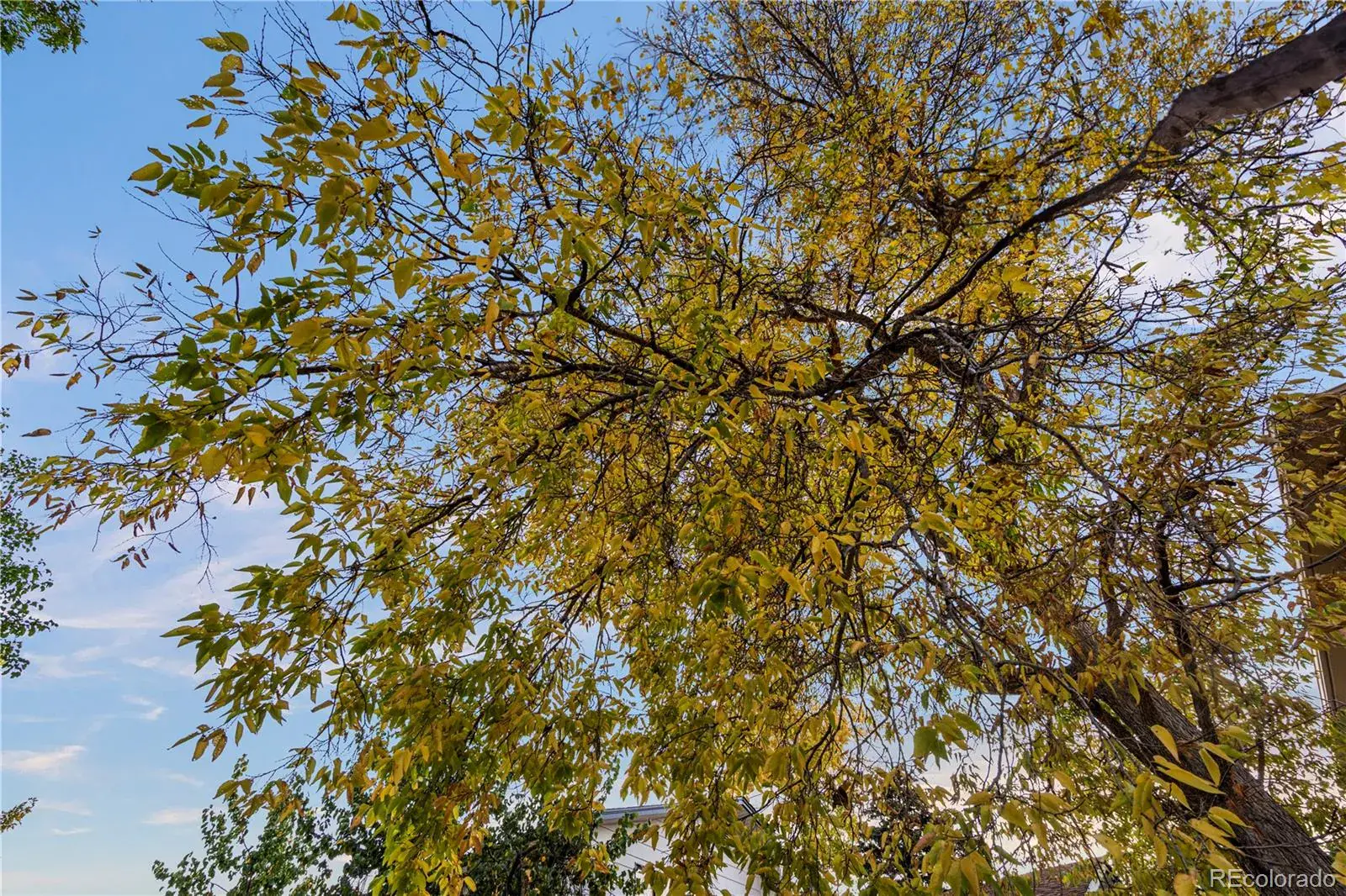 02172026184108 1600 40