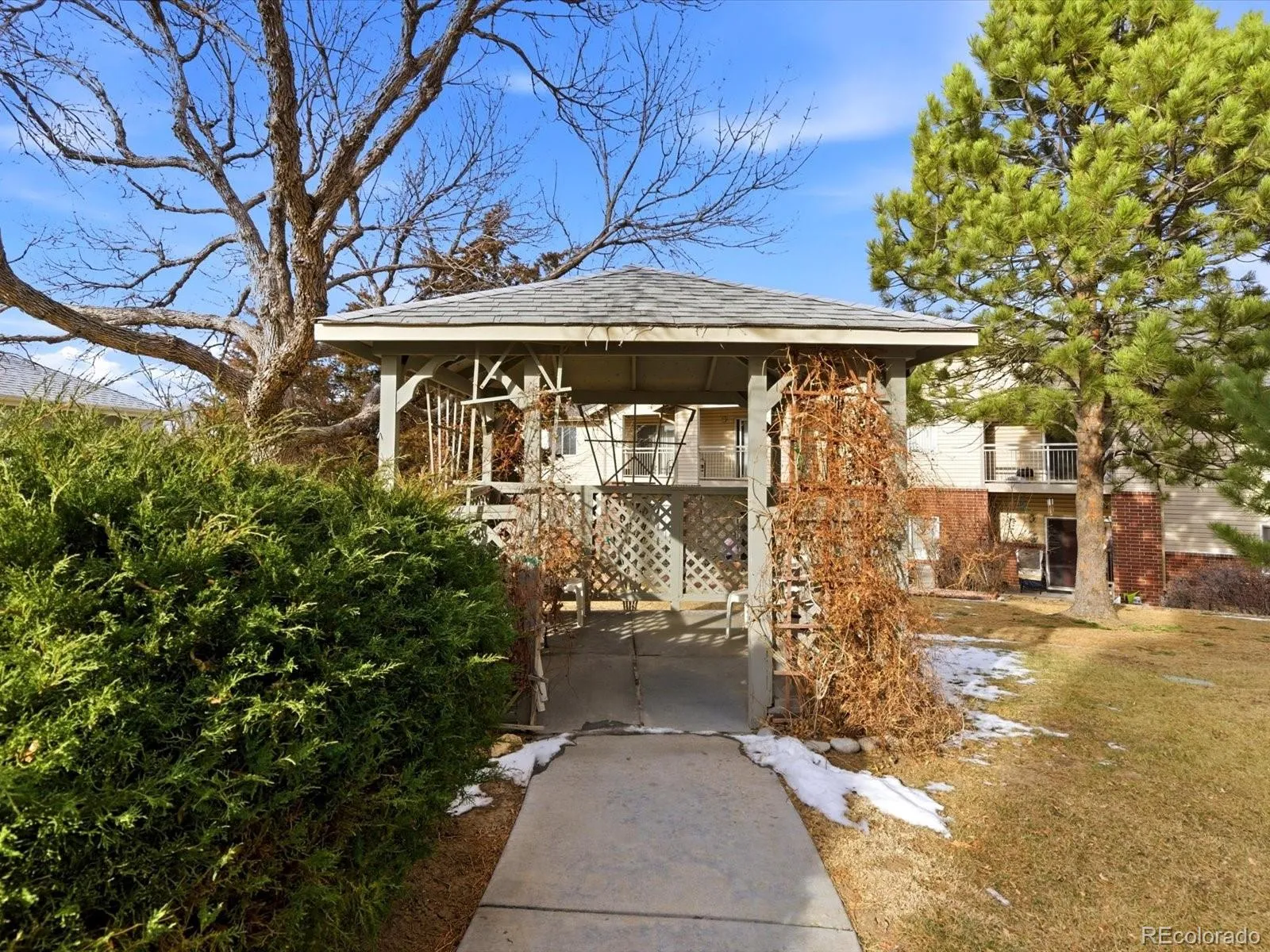 1383 W 88th Avenue #208 Thornton CO 80260 MLS #REC7696016 05022026053712 1600 3