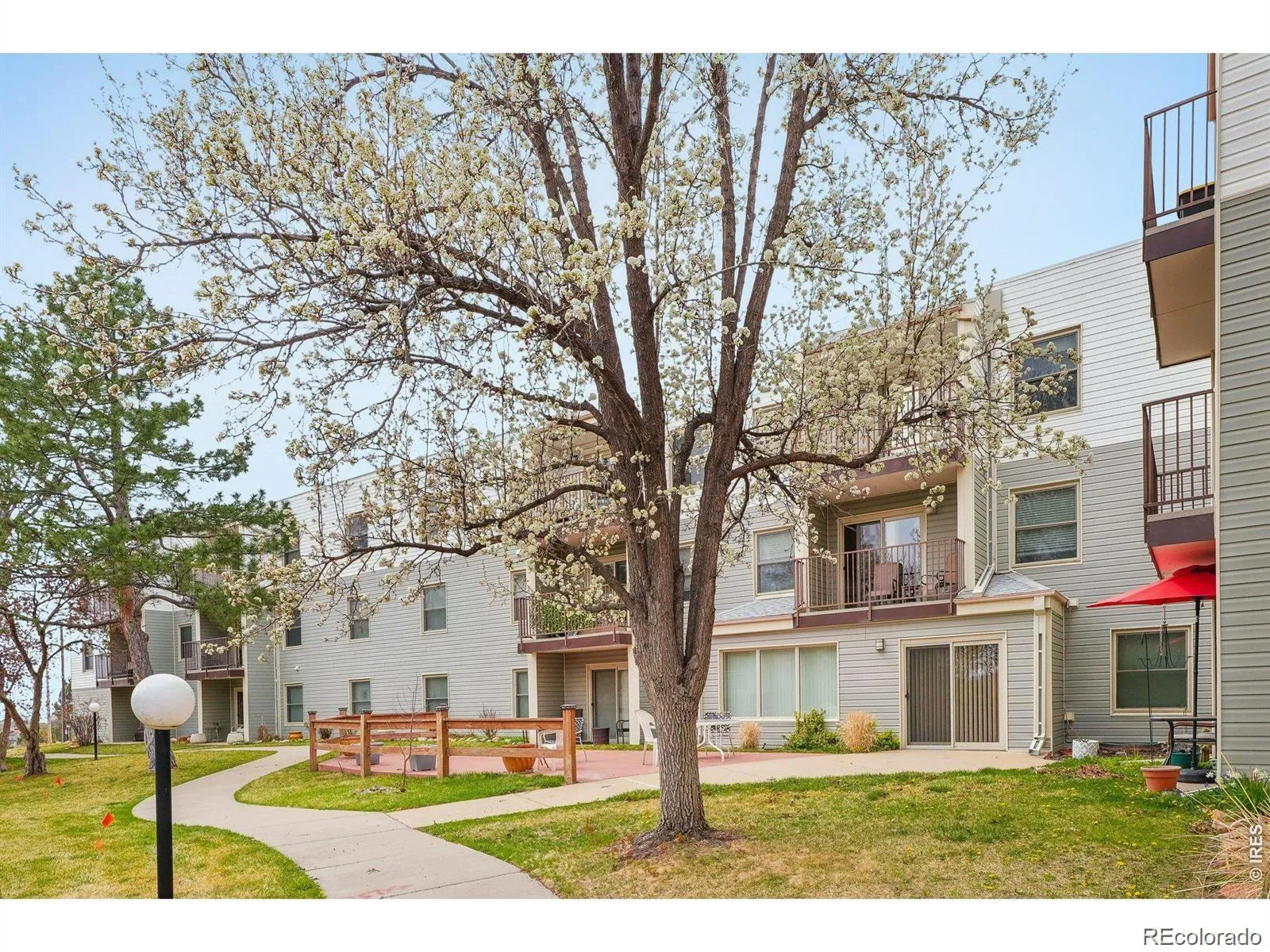 1383 W 88th Avenue #208 Thornton CO 80260 MLS #REC7696016 05022026053712 1600 37