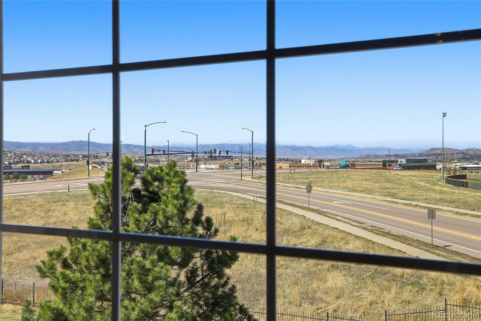 488 Black Feather Loop #219 Castle Rock CO 80104 | MLS #REC7696249 06032026222925 1600 17