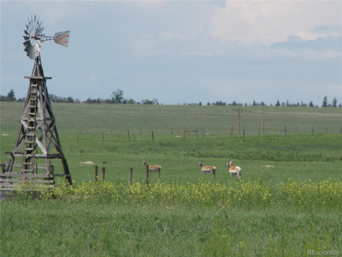 MLS #REC7699048 img 0