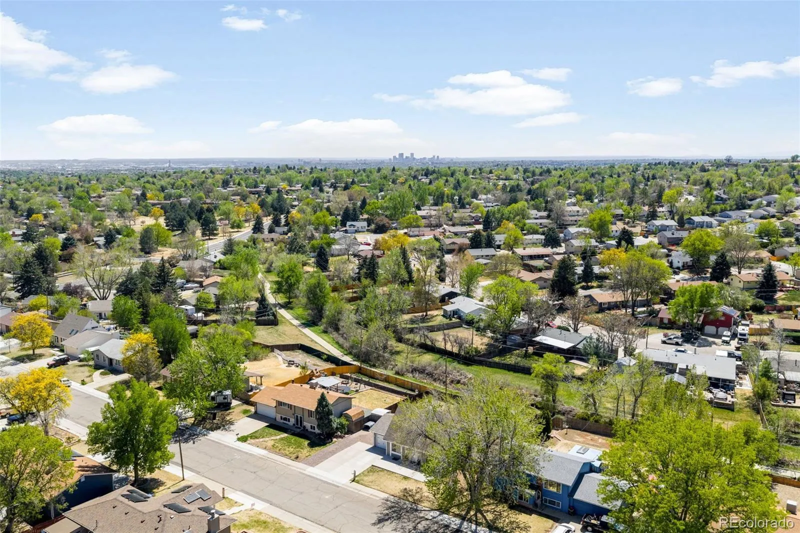 7186 W 79th Drive Arvada CO 80003 MLS #REC7705248 05012026134325 1600 38