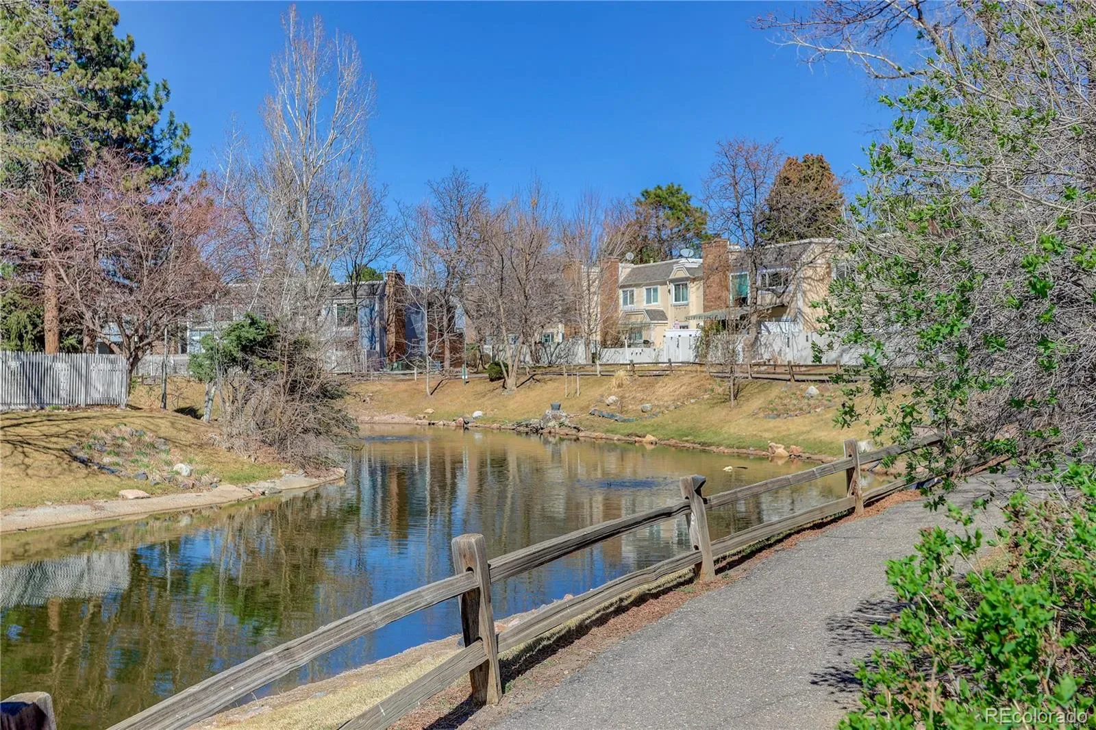 03252026184328 1600 31