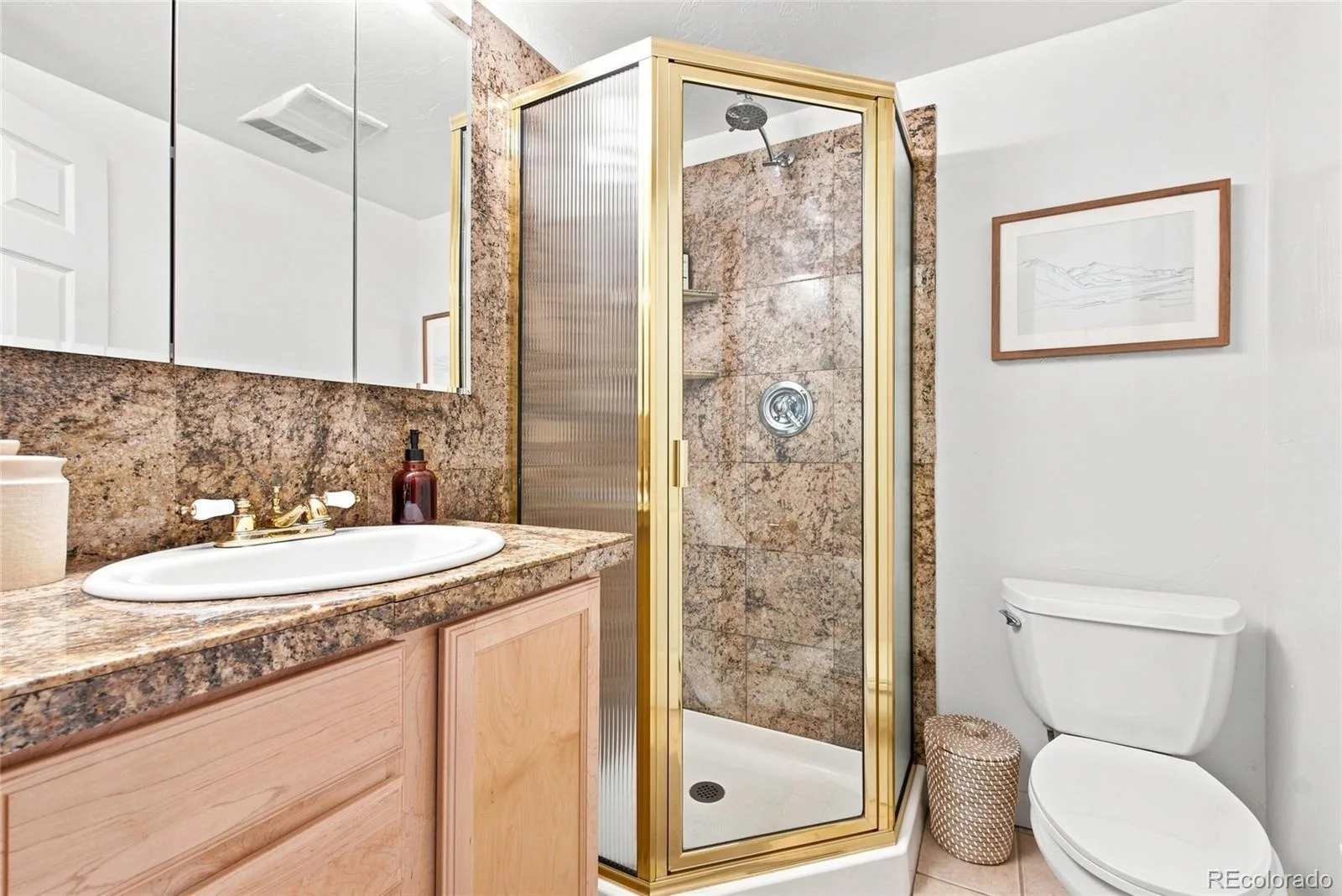 4804 S Pine Road Evergreen CO 80439 | MLS #REC2049484 08272026133654 1600 32