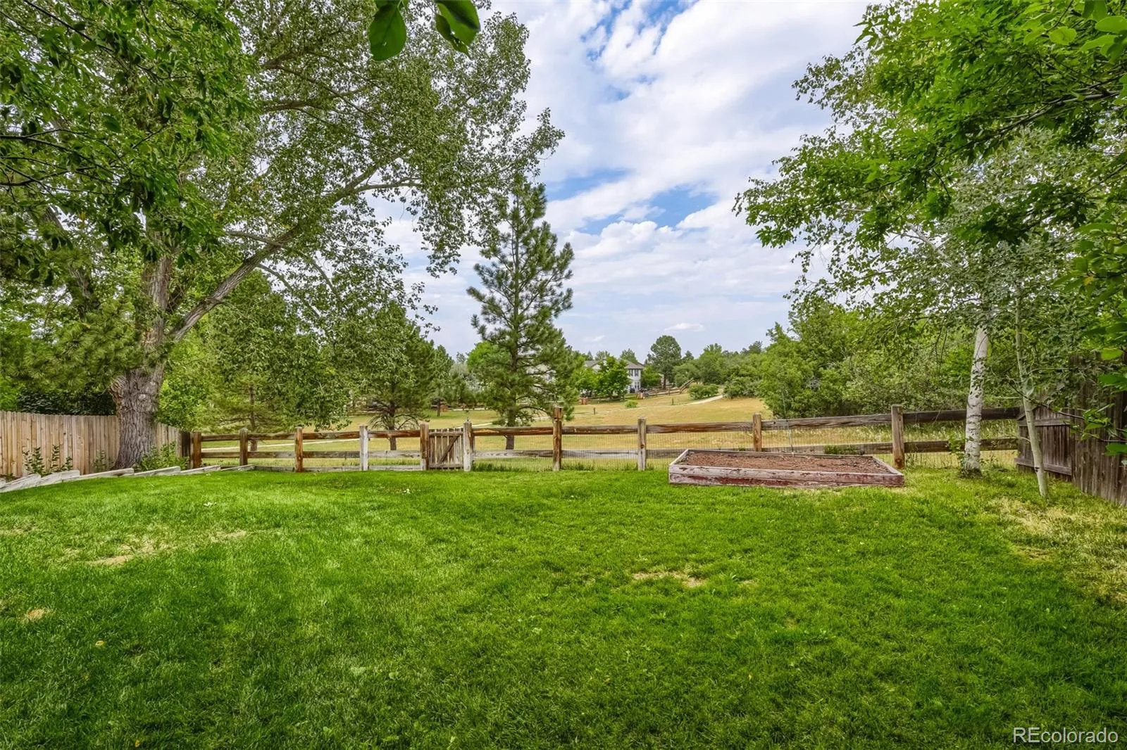169 Clare Drive Castle Pines CO 80108 | MLS #REC7711908 08132026060615 1600 1