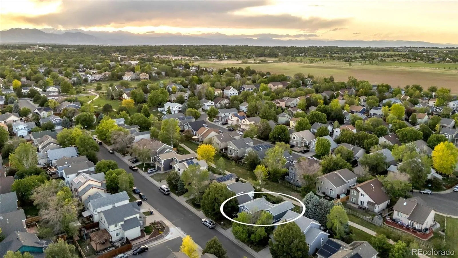 4131 Snowbird Avenue Broomfield CO 80020 MLS #REC7717116 07082026142602 1600 37