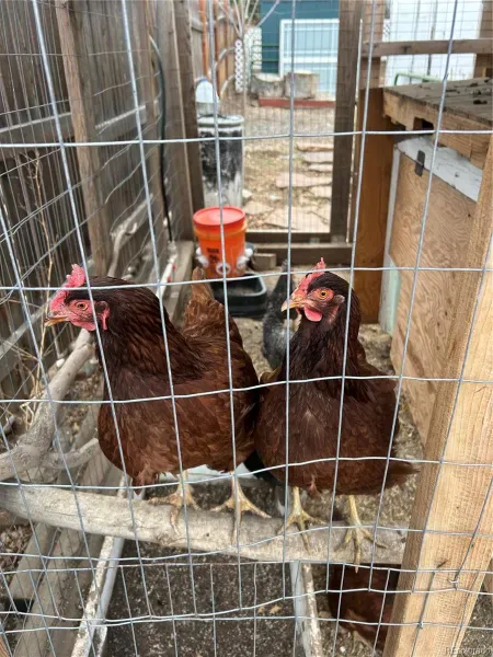 03122026234345 800 40