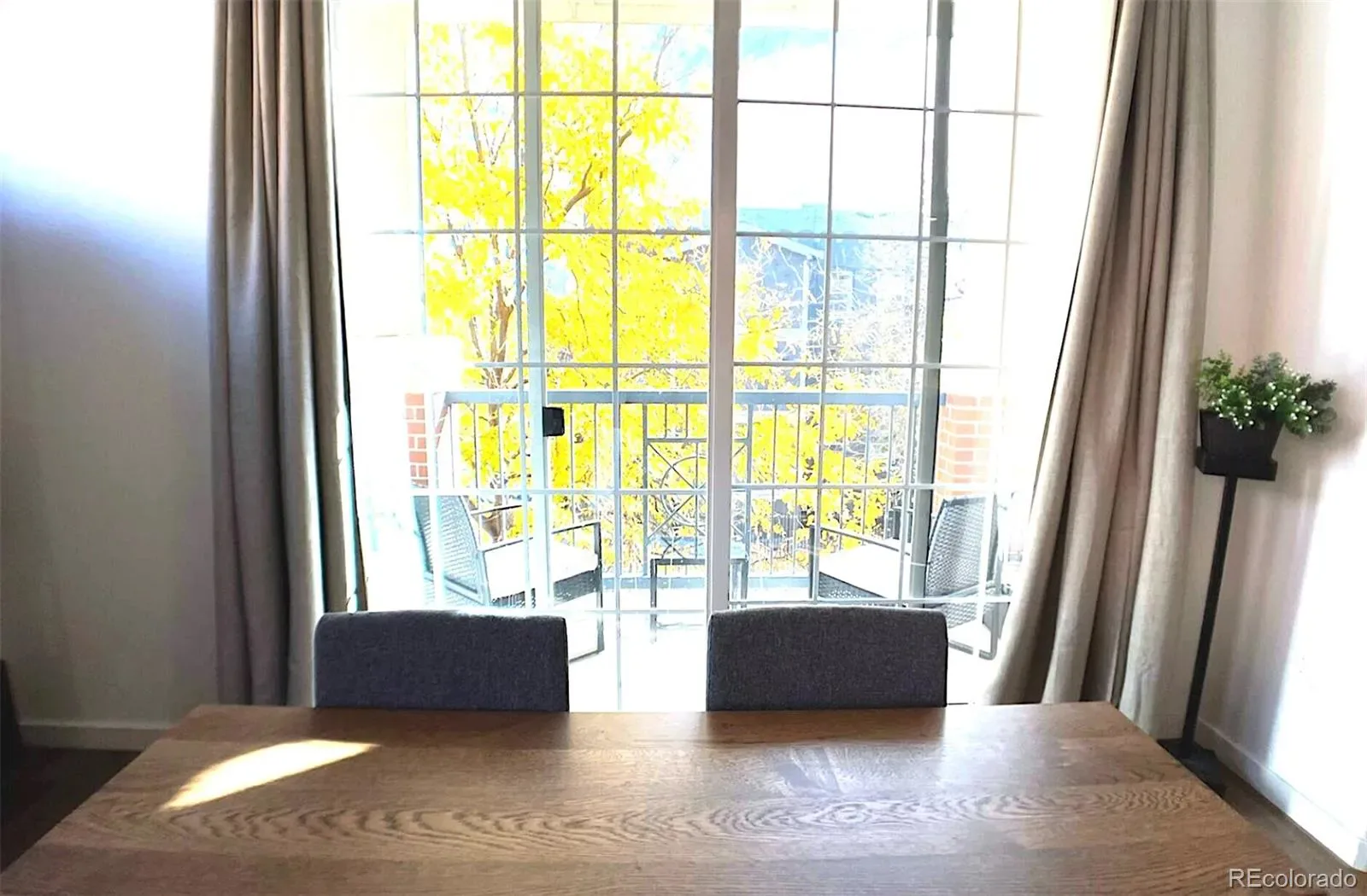 03282026023120 1600 8