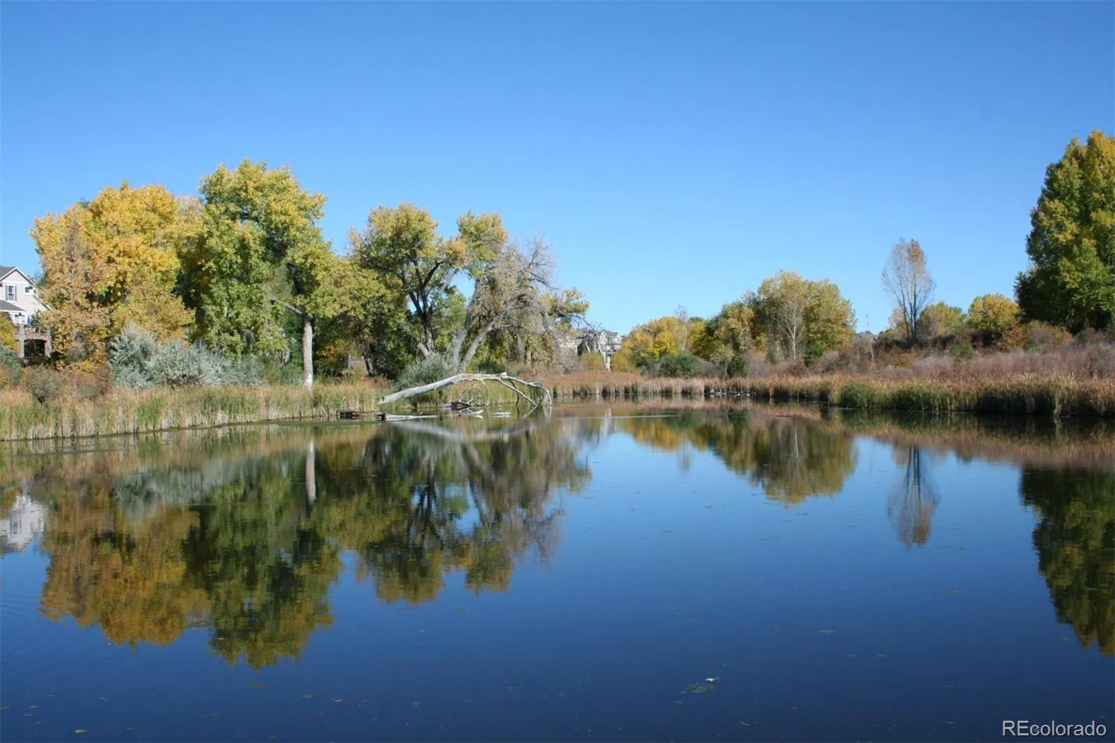 10735 Zuni Drive Denver CO 80234 MLS #REC7736910 05012026152139 1600 32