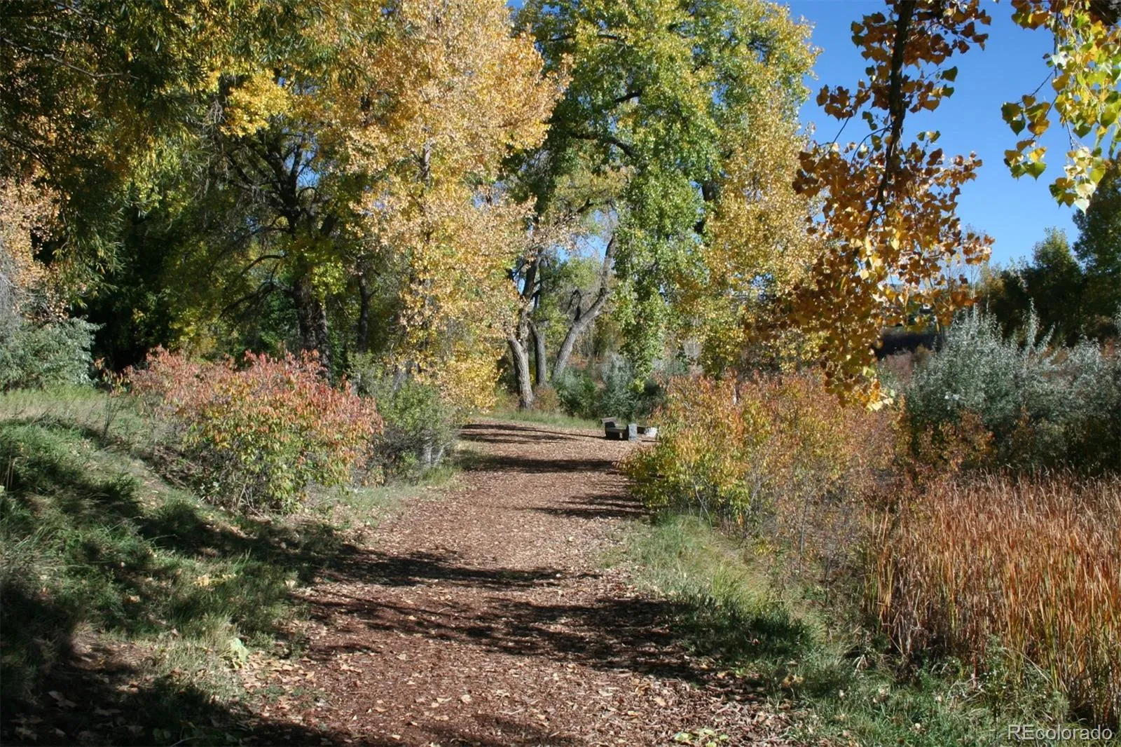 10735 Zuni Drive Denver CO 80234 MLS #REC7736910 05012026152139 1600 33