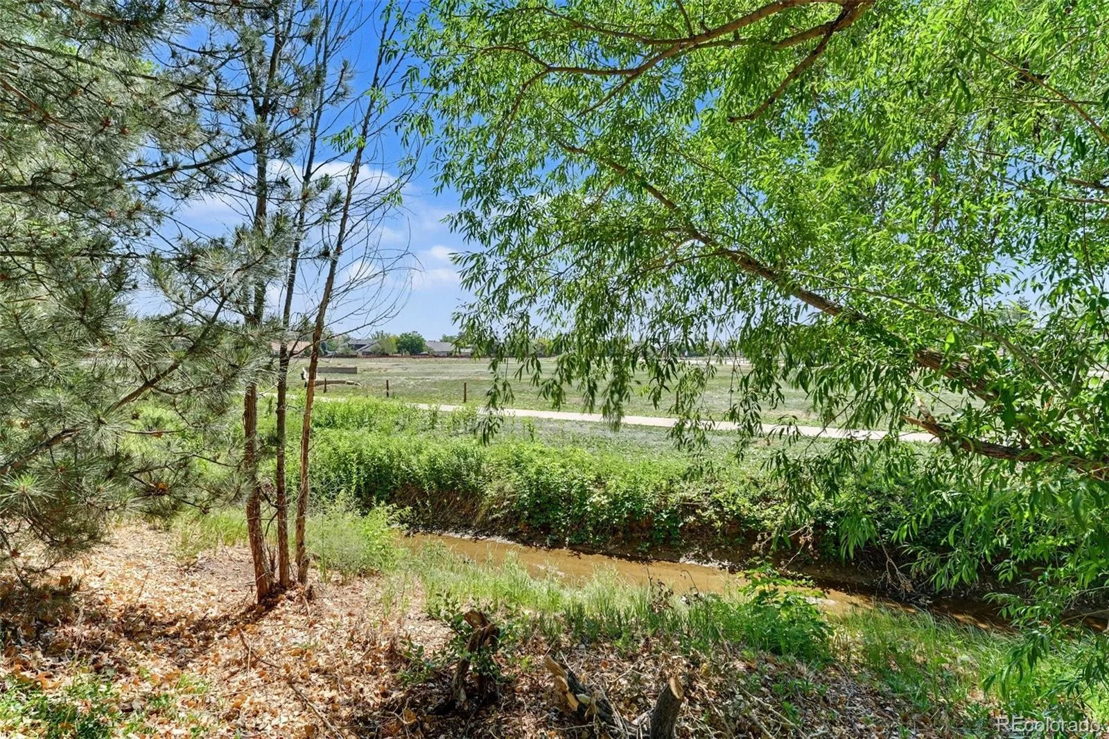 1440 E 128th Court Thornton CO 80241 | MLS #REC7738196 08272026160819 1600 38