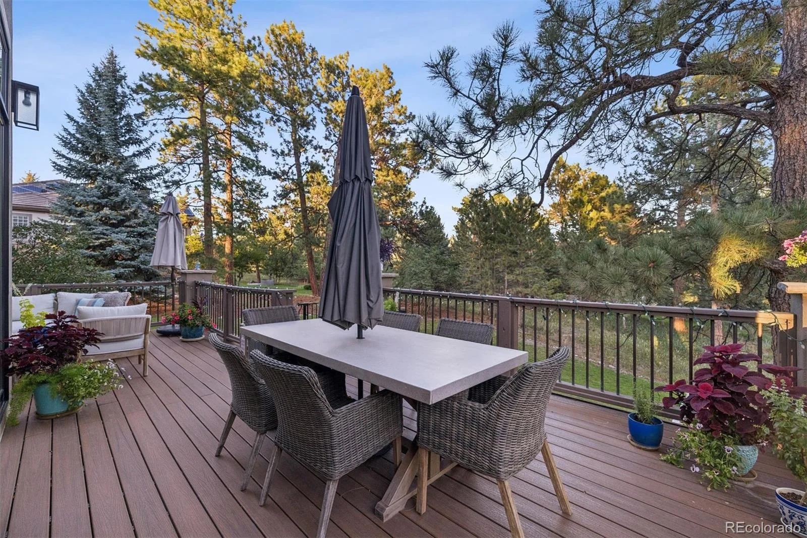 5440 Soapweed Circle Parker CO 80134 | MLS #REC7745491 08202026234804 1600 4