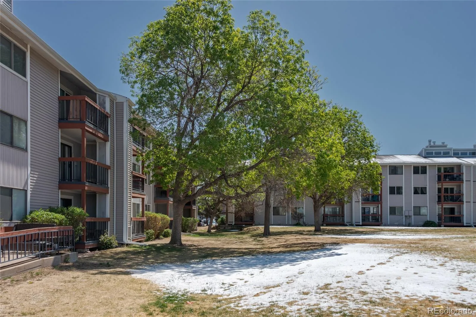 8666 Decatur Street #265 Westminster CO 80031 MLS #REC7749028 05212026035152 1600 24