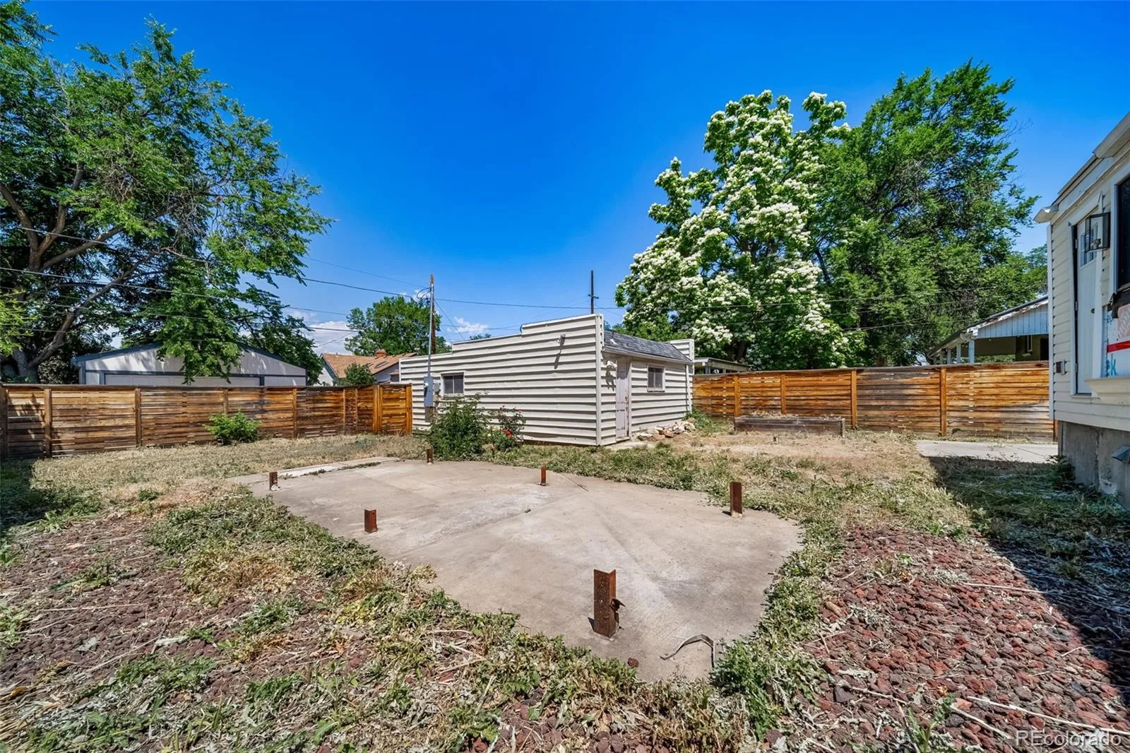 4585 Wolff Street Denver CO 80212 MLS #REC7757561 07092026230630 1600 26