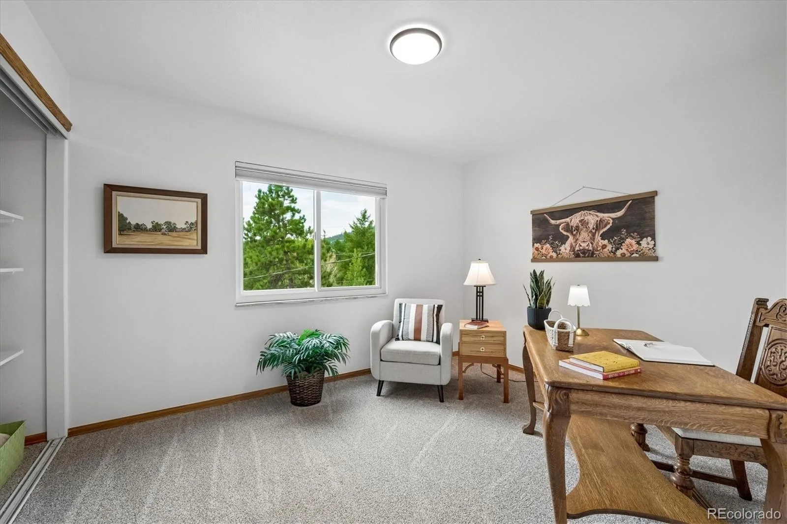 30328 Appaloosa Drive Evergreen CO 80439 | MLS #REC7759123 08132026193042 1600 16