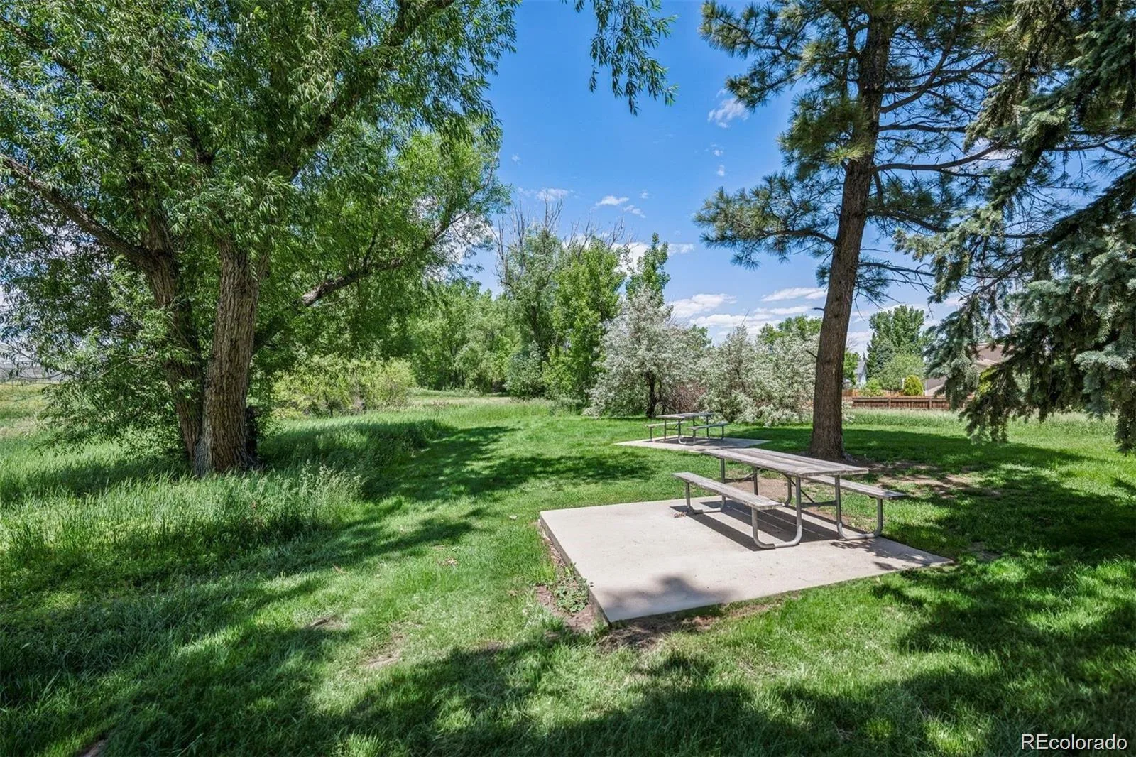 4899 S Dudley Street #11A Littleton CO 80123 | MLS #REC7764026 08022026190355 1600 23