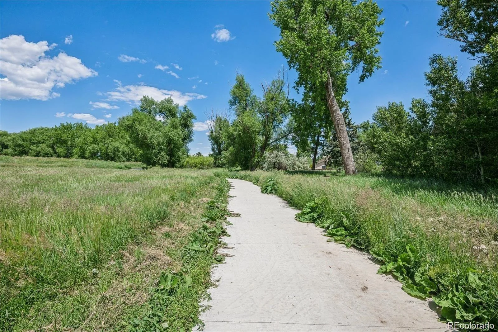 4899 S Dudley Street #11A Littleton CO 80123 | MLS #REC7764026 08022026190355 1600 24