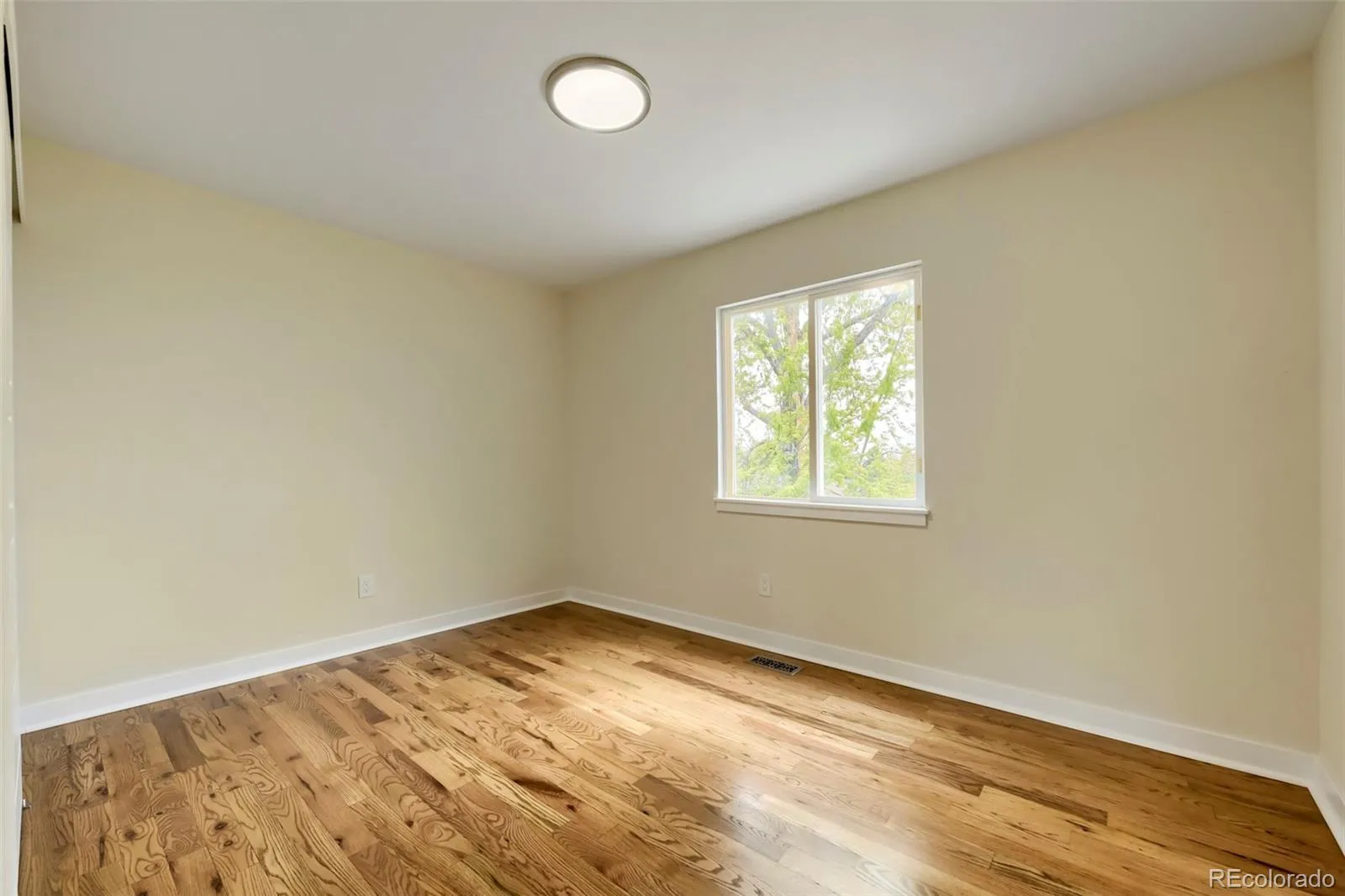 7662 S Johnson Street Littleton CO 80127 MLS #REC7766108 05022026053723 1600 15