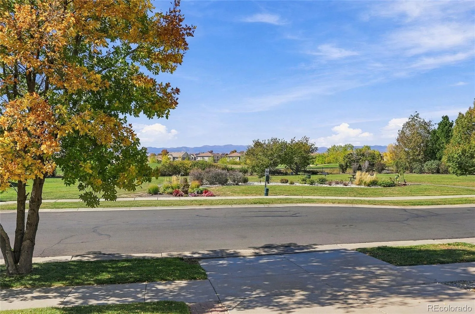 5410 Netherland Street Denver CO 80249 | MLS #REC7768395 10142026205106 1600 5