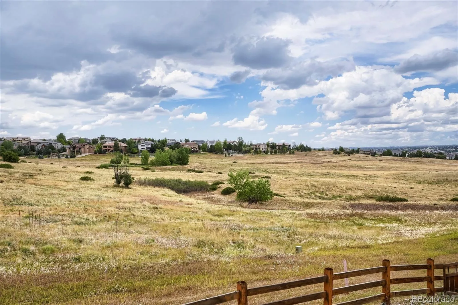 7013 Mentha Drive Castle Rock CO 80108 MLS #REC7771534 08042026185549 1600 40