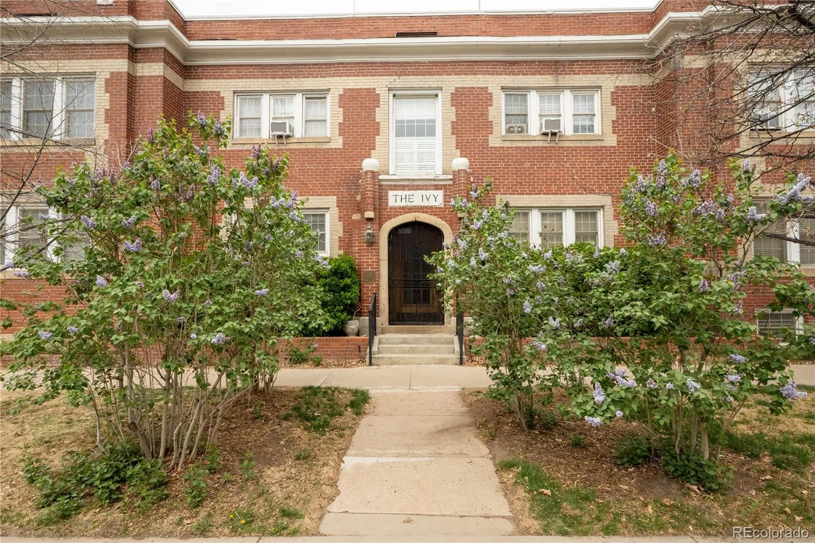 1301 E 9th Avenue #100 Denver CO 80218 MLS #REC7774513 04052026004033 1600 47