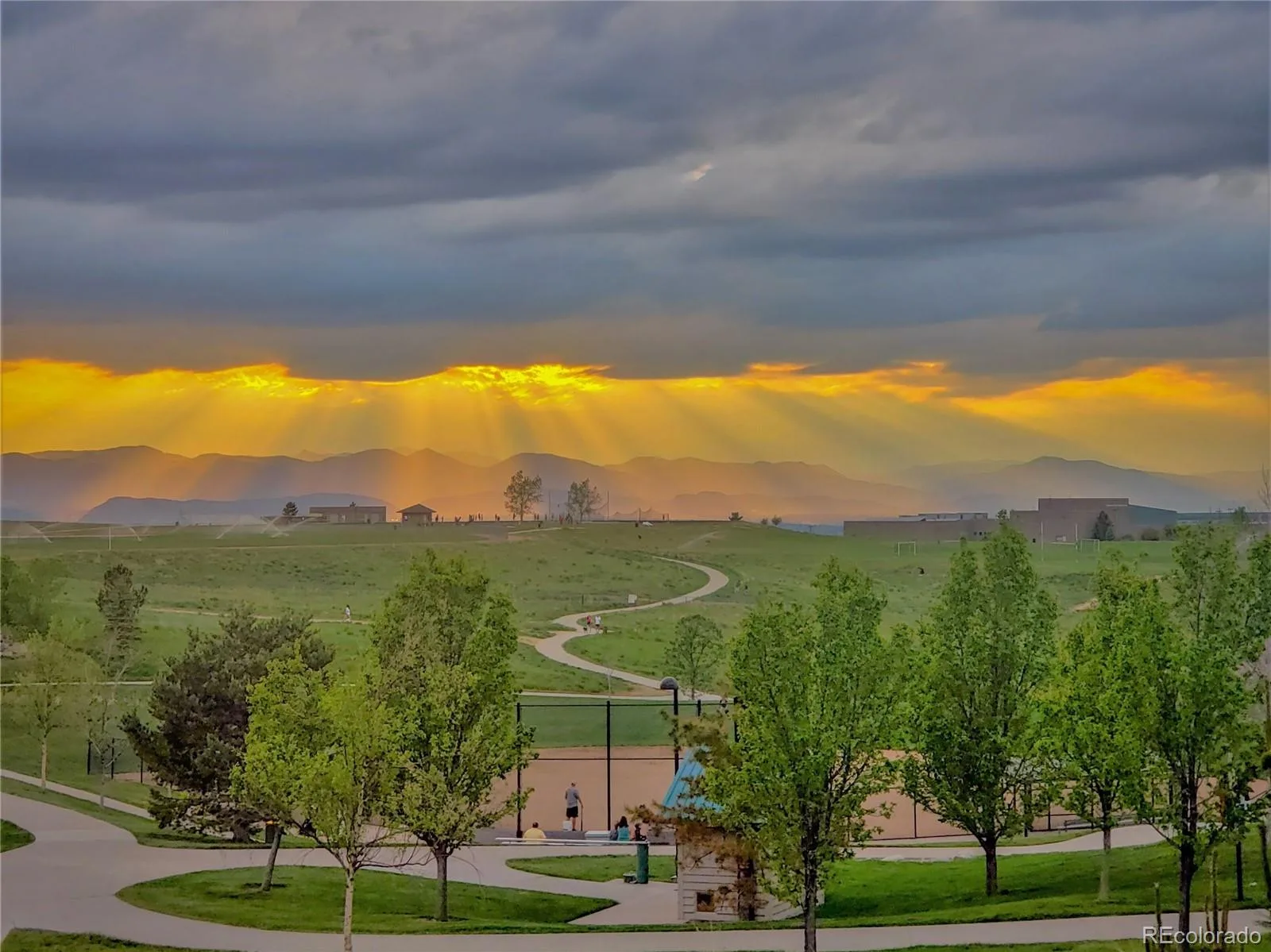 10616 Briarglen Circle Highlands Ranch CO 80130 MLS #REC7774603 06082026204529 1600 45