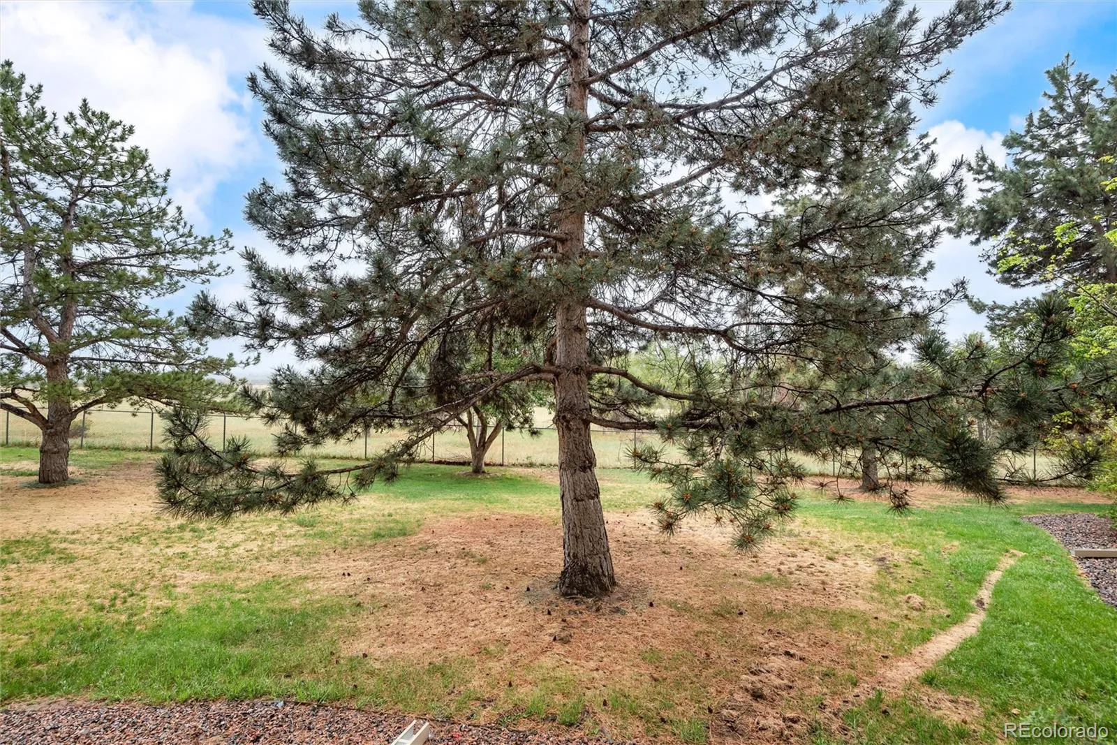 14300 E Marina Drive #110 #222 Aurora CO 80014 MLS #REC7782056 05232026095811 1600 19