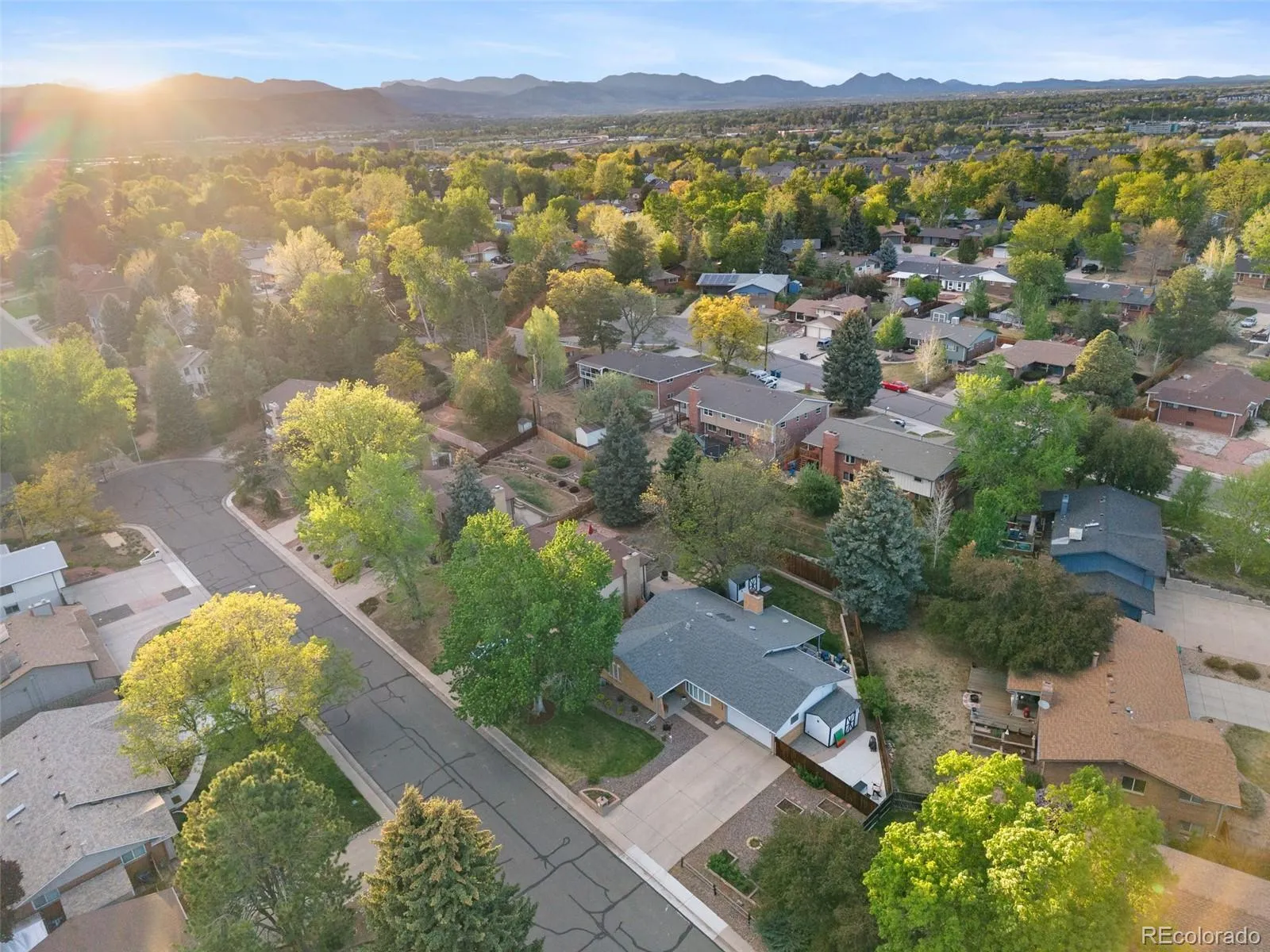 11635 W 35th Avenue Wheat Ridge CO 80033 MLS #REC7783403 04292026195656 1600 41
