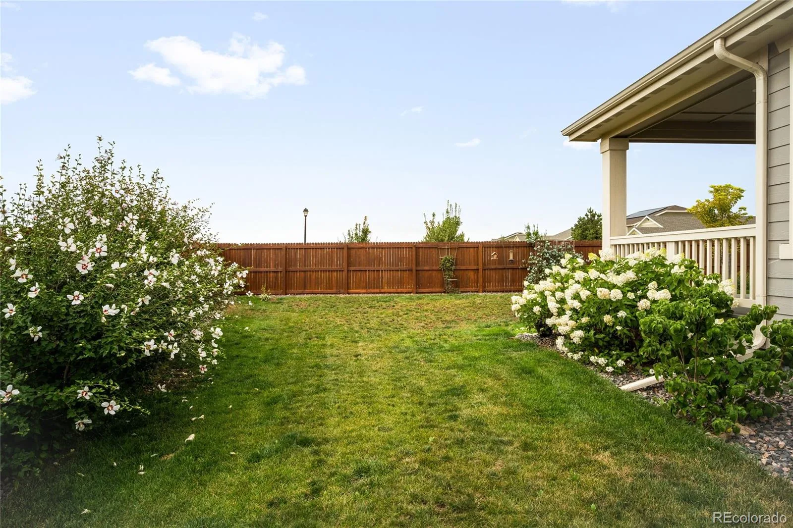 2842 E 161st Place Thornton CO 80602 | MLS #REC7783532 08252026185444 1600 30