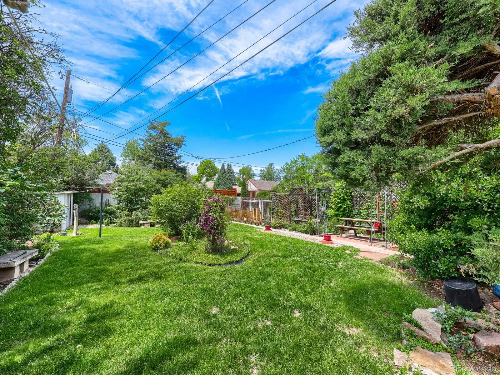 1535 Poplar Street Denver CO 80220 MLS #REC7784197 05252026230502 1600 20