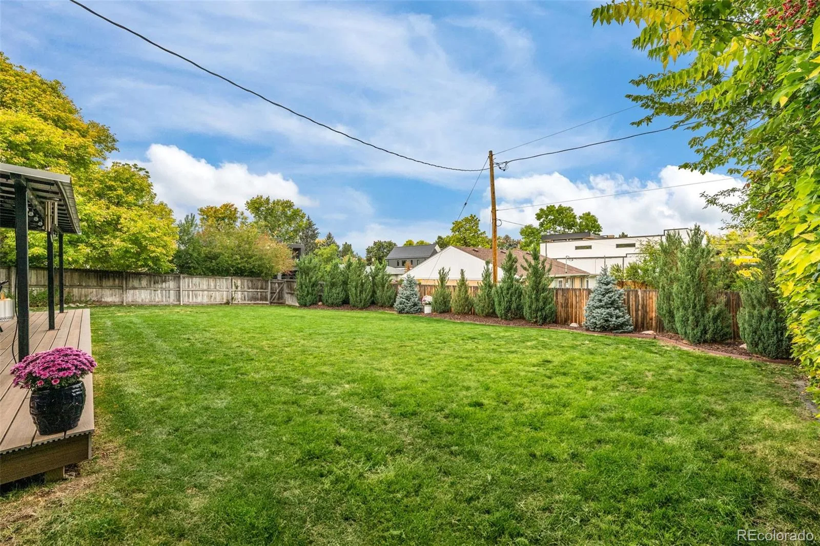 3701 E Dartmouth Avenue Denver CO 80210 MLS #REC7784412 06092026162520 1600 36