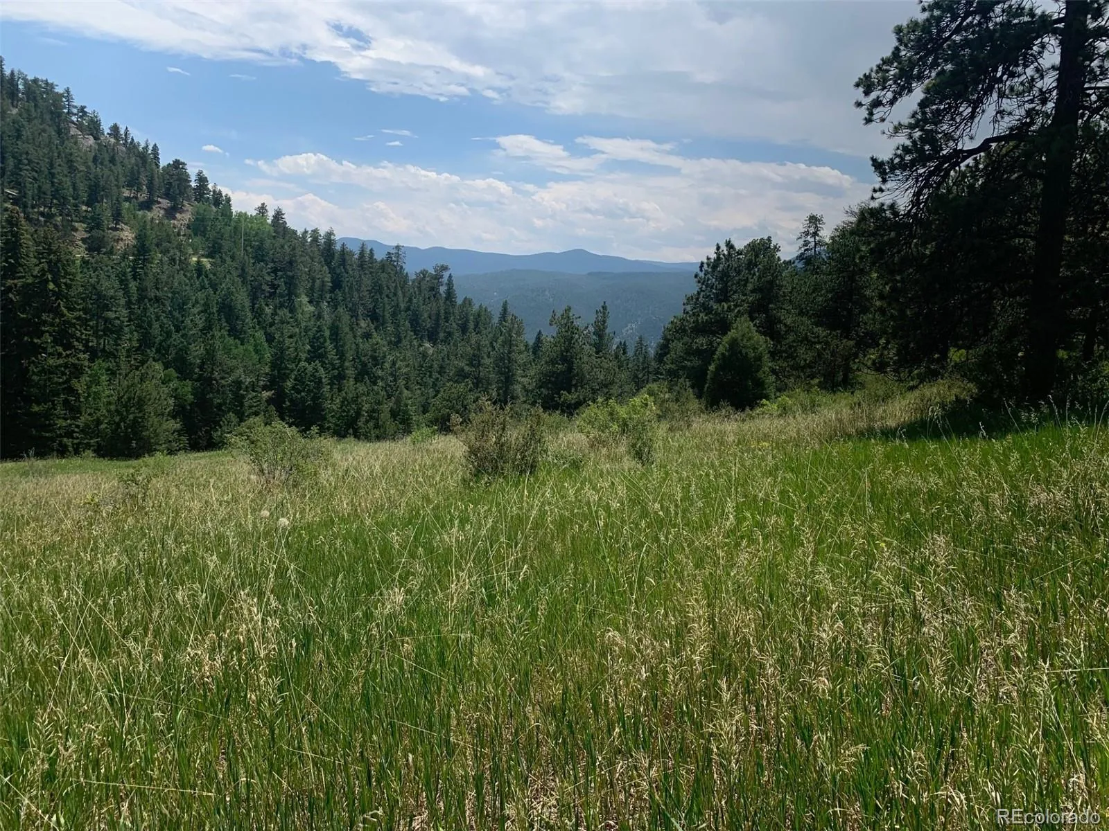 00 Douglas Mtn Drive Golden CO 80403 | MLS #REC7785105 04272026063432 1600 1