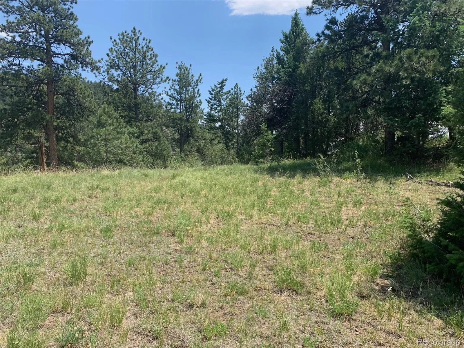 00 Douglas Mtn Drive Golden CO 80403 | MLS #REC7785105 04272026063432 1600 3