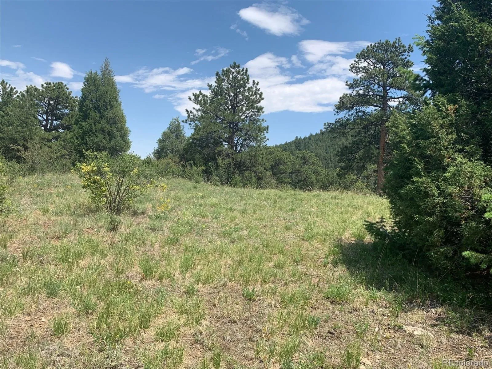 00 Douglas Mtn Drive Golden CO 80403 | MLS #REC7785105 04272026063432 1600 4