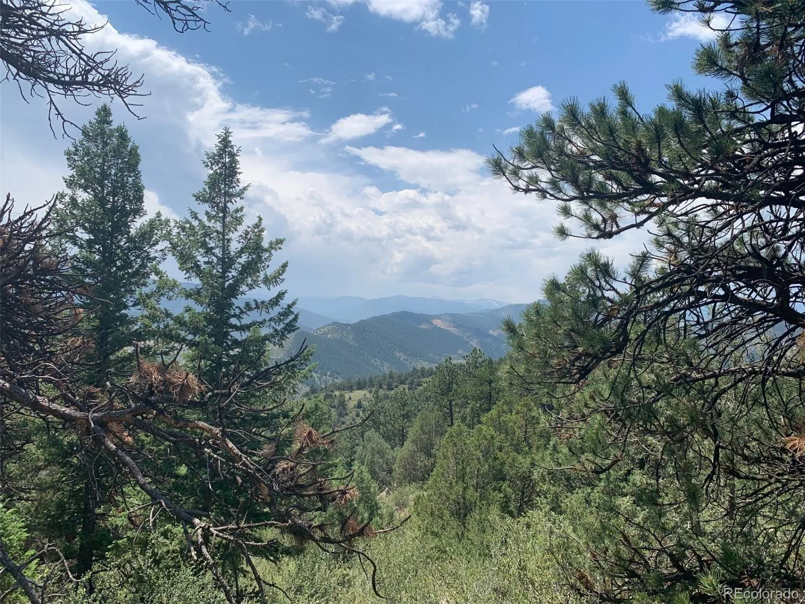 00 Douglas Mtn Drive Golden CO 80403 | MLS #REC7785105 04272026063432 1600 5