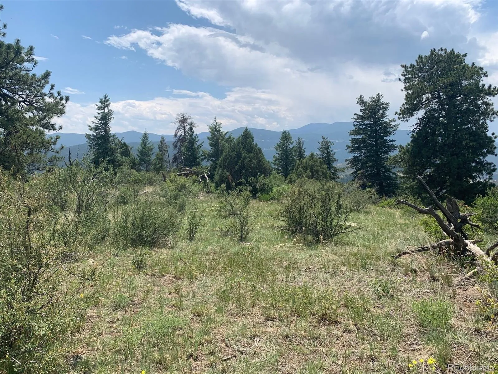 00 Douglas Mtn Drive Golden CO 80403 | MLS #REC7785105 04272026063432 1600 6